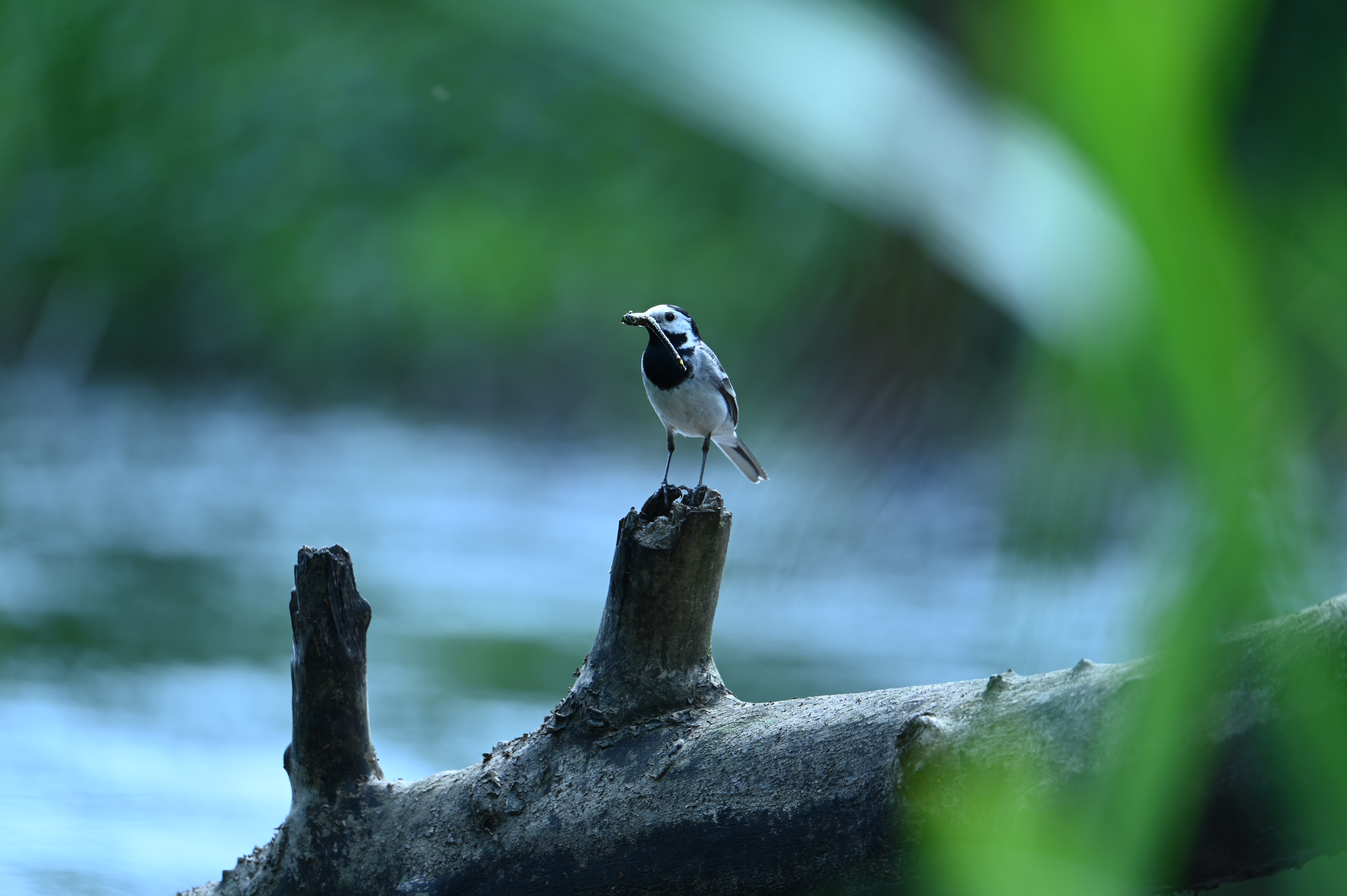 2025/07/09-14 - trip/DSC_0485.JPG